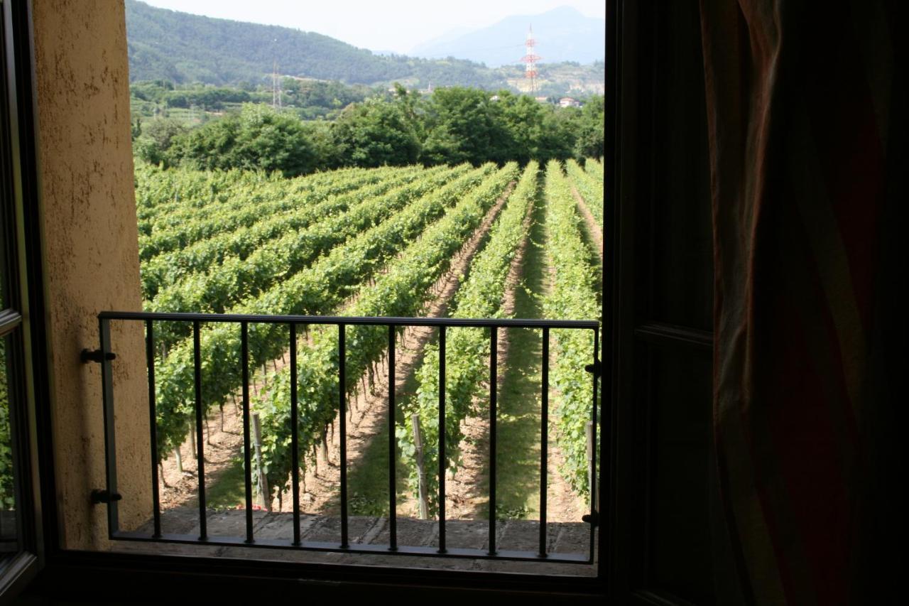 Agriturismo Ripa Del Bosco Capriolo Buitenkant foto