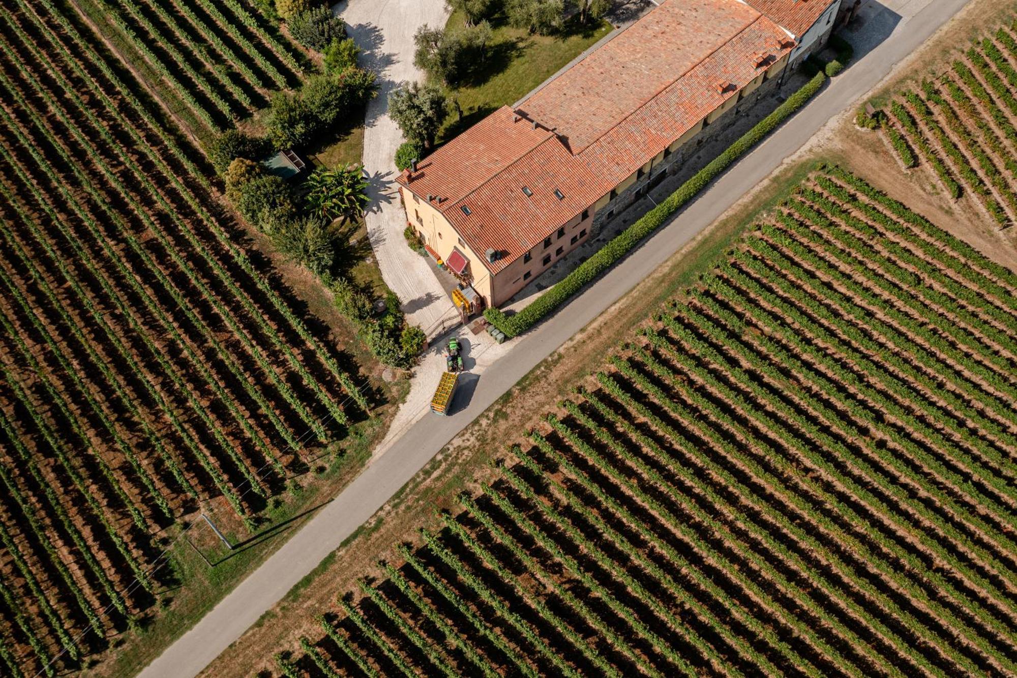 Agriturismo Ripa Del Bosco Capriolo Buitenkant foto