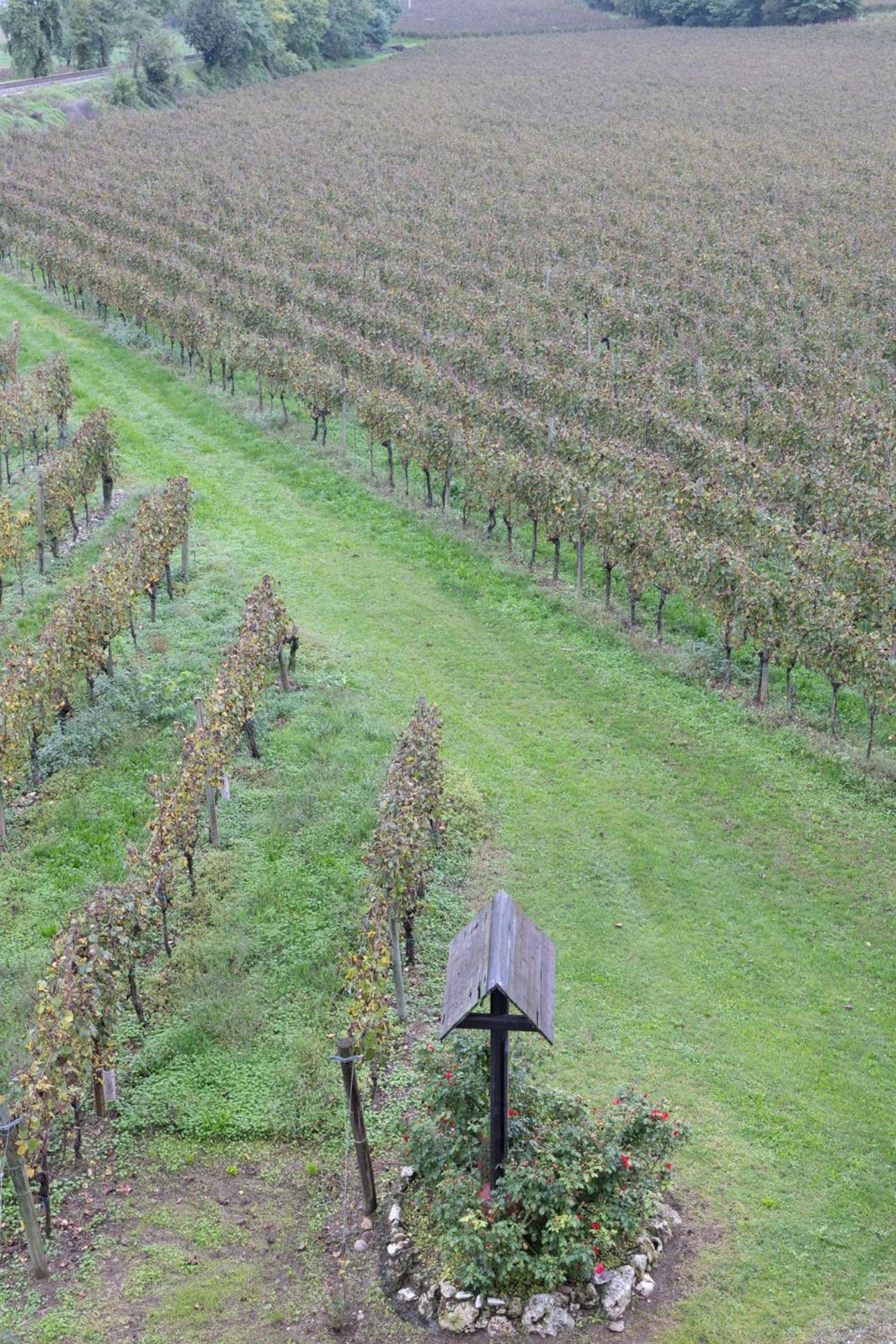 Agriturismo Ripa Del Bosco Capriolo Buitenkant foto