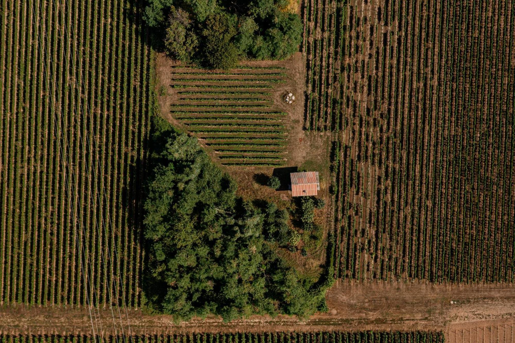 Agriturismo Ripa Del Bosco Capriolo Buitenkant foto